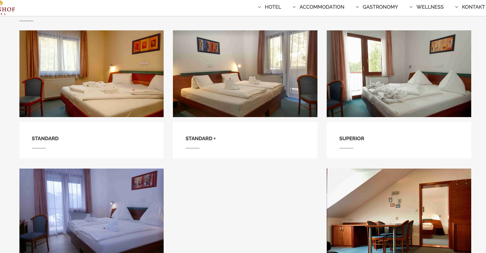 Screenshot der Webseite https://www.alpenhofhotel.eu/en/